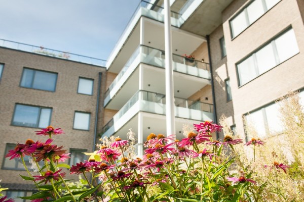 &#214;ppet Hus p&#229; R&#229;byv&#228;gen i Uppsala